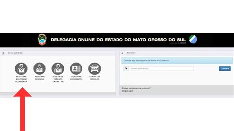 Registrar boletim de ocorrência via internet .